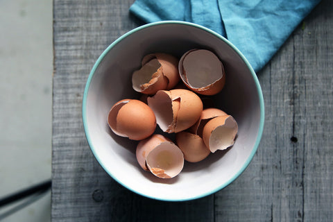 Ways to reuse egg shells